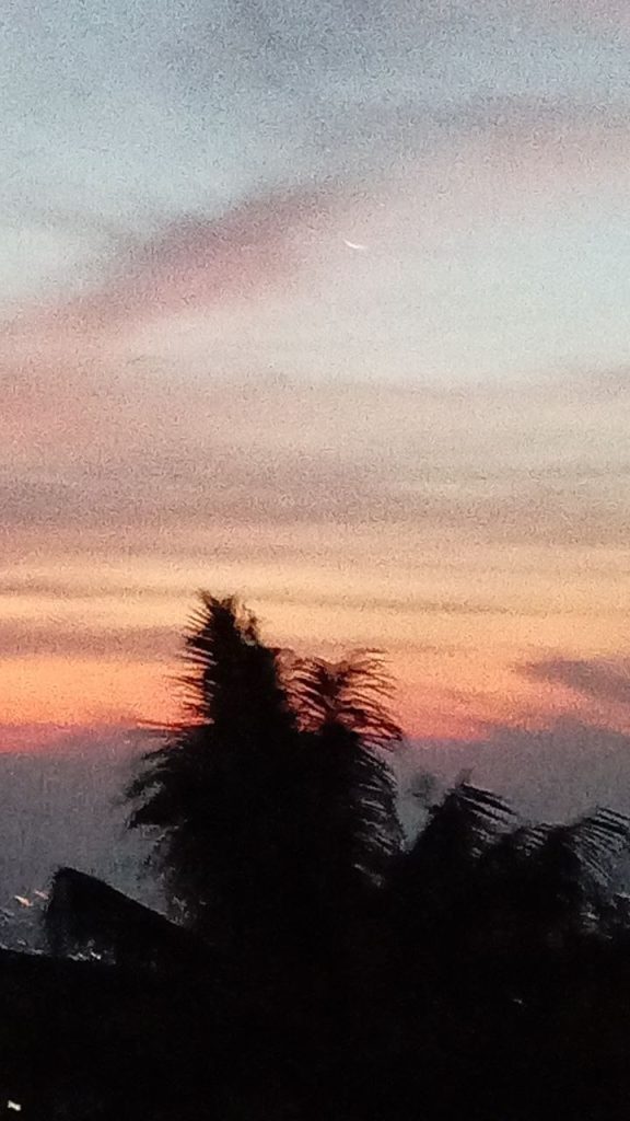 photo 2026 06 16 21 47 25