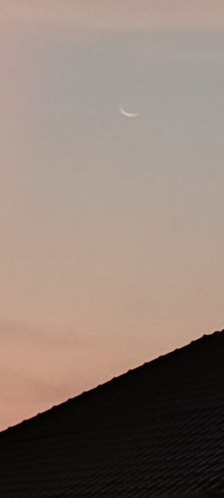 photo 2026 06 16 21 54 52